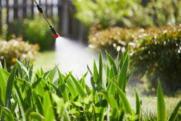 24/7 Emergency Mosquito Control experts in Hanover, IN